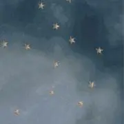 tmmの画像