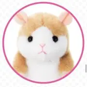 あむにゃんの画像