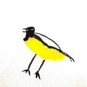 a____ku.biの画像