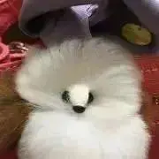 まりなの画像