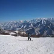 ⭐️やっすん⭐️の画像