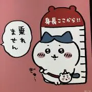 ウルトラソニックの画像