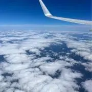 SKYの画像