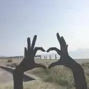 若向