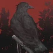 Y.T.の画像