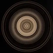 金欠の古着の画像