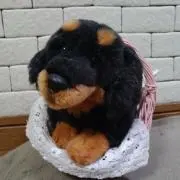 かおりんの画像