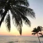 ちこまこ⭐︎の画像