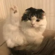 とも