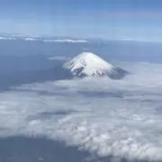 Tamo Maeda