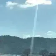ろっこりーの画像