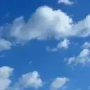 OWLの画像