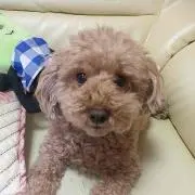 moca＊の画像