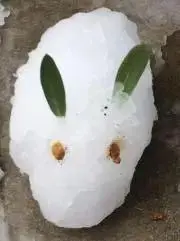 ukonの画像