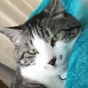 Akiko