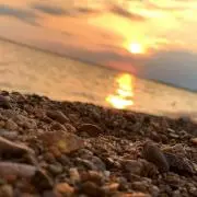 mの画像