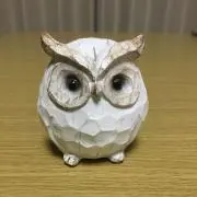 OKAZUの画像