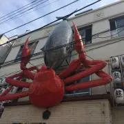 masaの画像