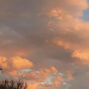 ♡yの画像