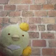 ゆーこの画像