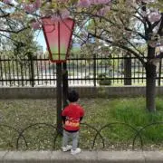 一博の画像