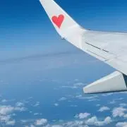BOCの画像