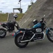 ぴょん