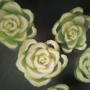 はな