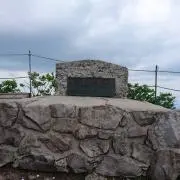 ハムスター
