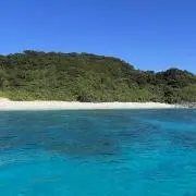 塩コショウぱらぱら