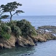 twin2の画像