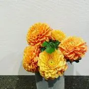 minの画像