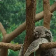 LUEの画像