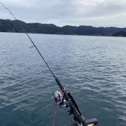 鰤鰤