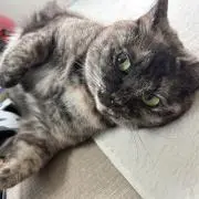 yuuの画像