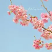 はる