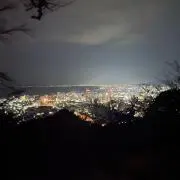 new ollの画像