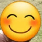 (*^^*)