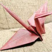 ちまの画像