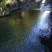 HYの画像