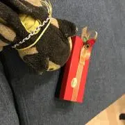 こねこバスの画像
