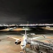 サマンサの画像