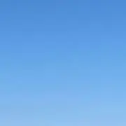 ミの画像