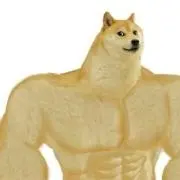 omoの画像