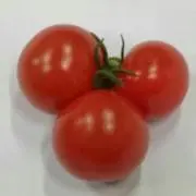 ひろぽん