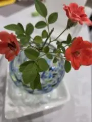 TAImamaの画像