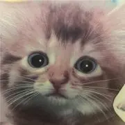 ゆうちゃん(⚠️プロフ必ずお読み下さい)の画像