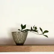 nanaの画像