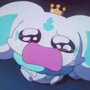 ぱるこの画像