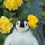 秋宮の画像